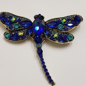 Beautiful women's large Brooch